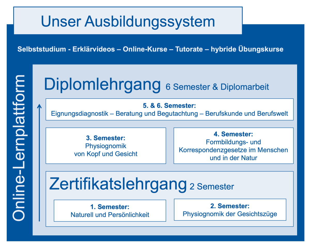 Die Grafik zeigt eine Übersicht über die Module und Semester des Studienprogramms. Hier ist eine kurze Zusammenfassung der Inhalte:  Modul 1 – Naturell und Persönlichkeit: Einführung in den Naturell-Begriff, Darstellung und Beschreibung der wichtigsten Naturelle, Naturellharmonielehre, Entwicklung des Naturelles, gesunde Lebensweise, Naturell und Gesellschaft, Naturell und Temperament, Harmonie der Temperamente.  Modul 2 – Physiognomik der Gesichtszüge: Physiognomik und Mimik des menschlichen Gesichtes, Ausdruck der Sinnesorgane, Augen, Nase, Mund, Gesicht und Untergesicht sowie Ohren.  Modul 3 – Physiognomik von Kopf und Gesicht: Entwicklung des Nervensystems und des Gehirns, allgemeine Entwicklung der Kopf- und Gesichtsform, exemplarische Studien in frühen Kulturen und Hochkulturen, Hutersche Neuphrenologie, Ausdruck von Stirn, Seitenhaupt, Oberhaupt und Hinterhaupt.  Modul 4 – Formbildungs- und Korrespondenzgesetze im Menschen auf den Naturen: Physiognomisches Grundgesetz, Kraftrichtungsordnung nach Carl Huter.  Modul 5 – Physiognomische Analyse, Beratung und Begutachtung I  Modul 6 – Eignungsdiagnostik und Berufskunde I  Modul 7 – Physiognomische Analyse, Beratung und Begutachtung II  Modul 8 – Eignungsdiagnostik II Berufskunde II  Zusätzlich gibt es eine schriftliche Diplomarbeit.